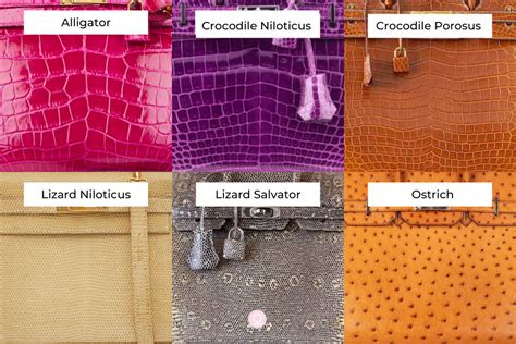 lizard skin hermes|Beyond the Ordinary: A Guide To Hermès’ Exotic Leathers.